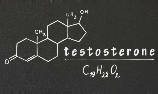 What Can More Testosterone Do For You?