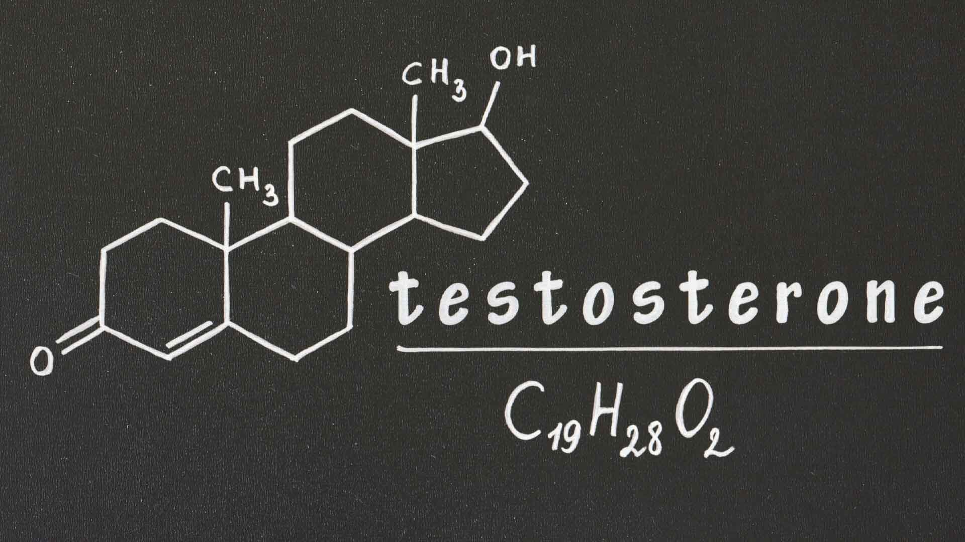 What Can More Testosterone Do For You?