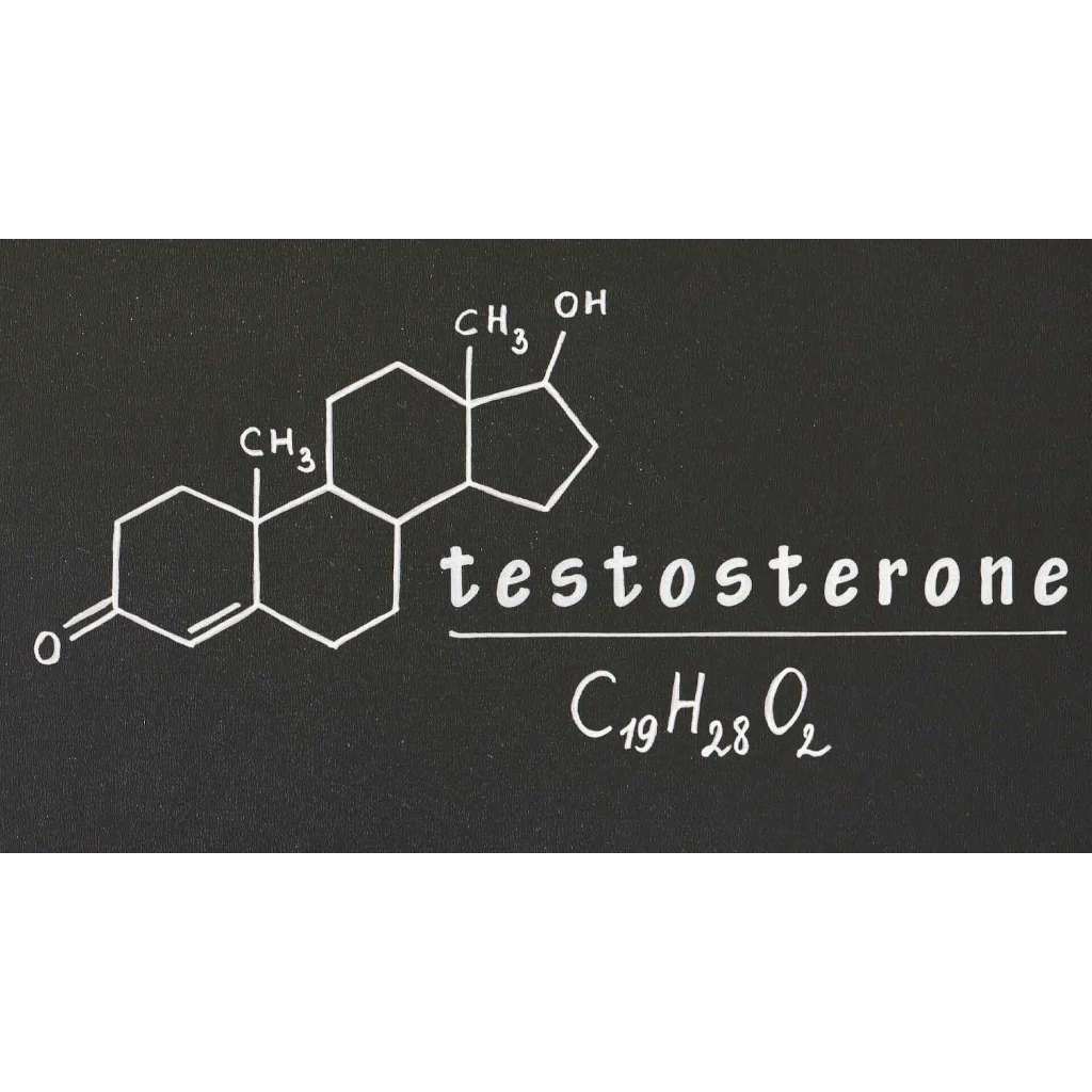 What Can More Testosterone Do For You?