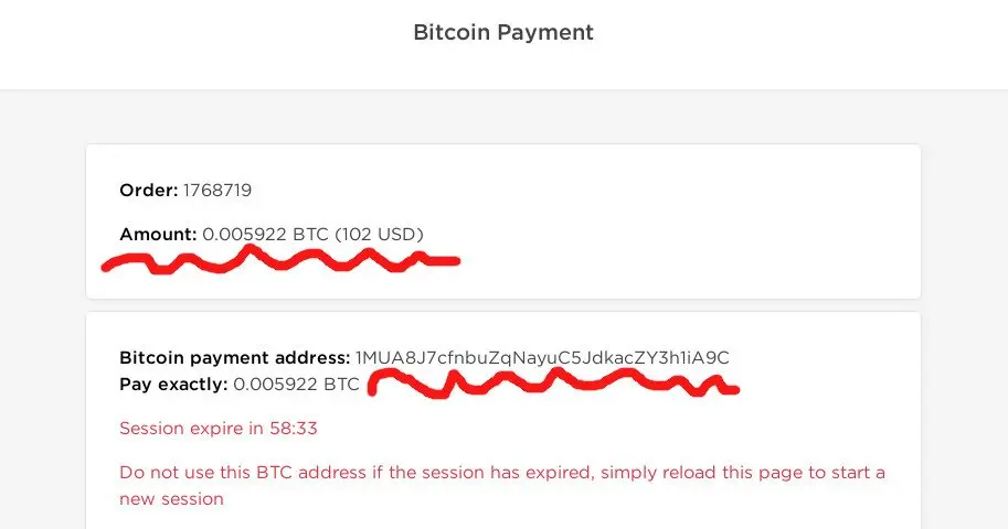 pay with bitcoin