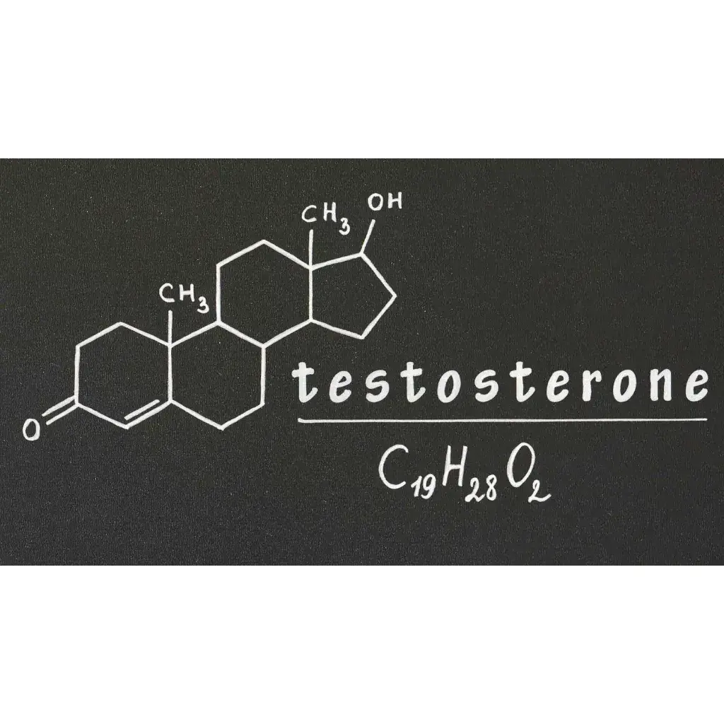 What Can More Testosterone Do For You?